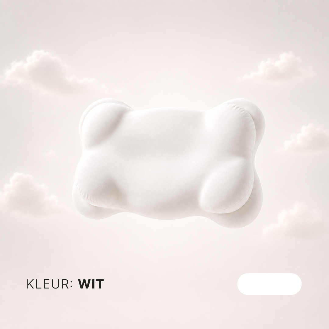 Cloud Pillow | Ergonomic Neck Pillow